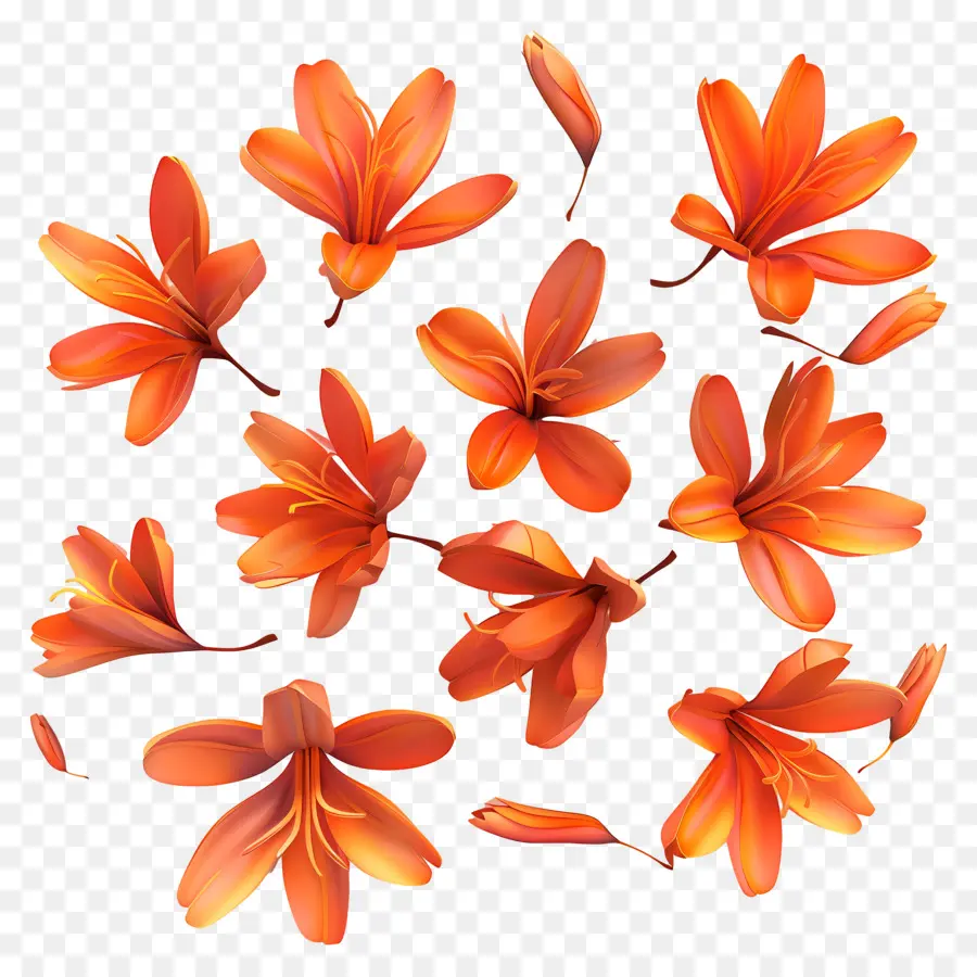 Flores De Açafrão，Flores Laranja PNG