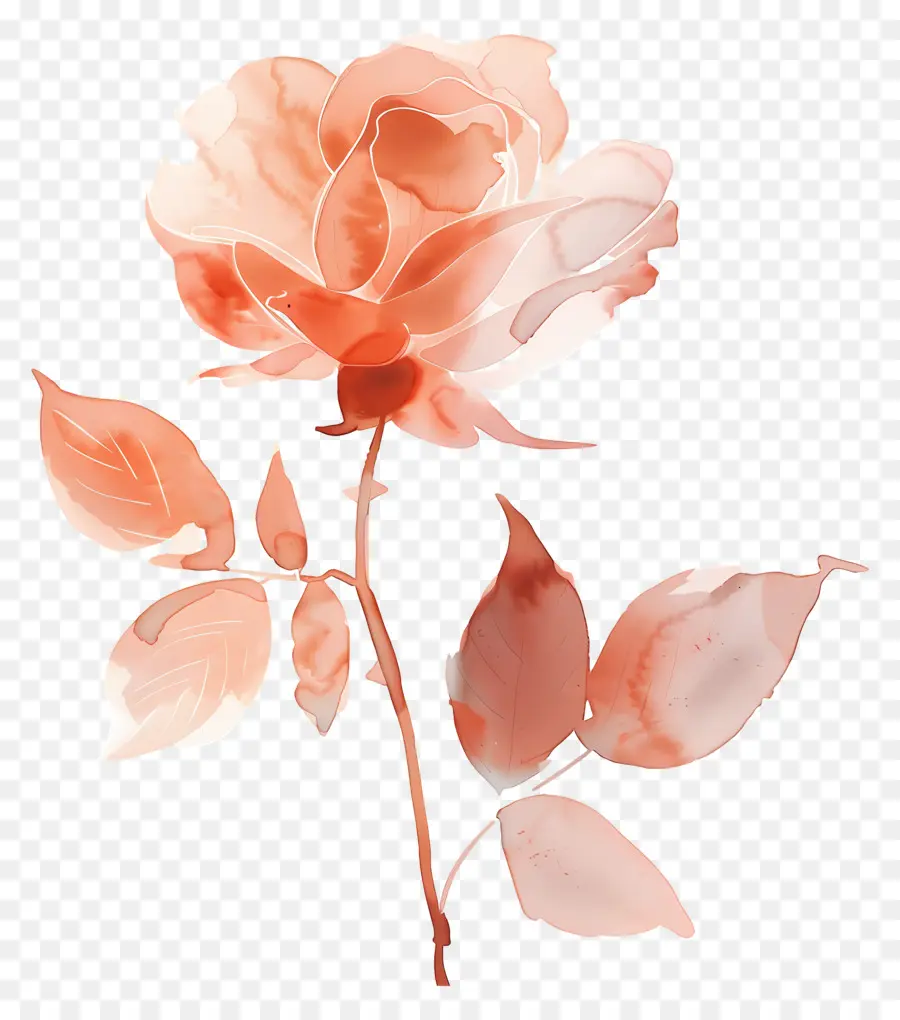 Flor Rosa，Flor PNG