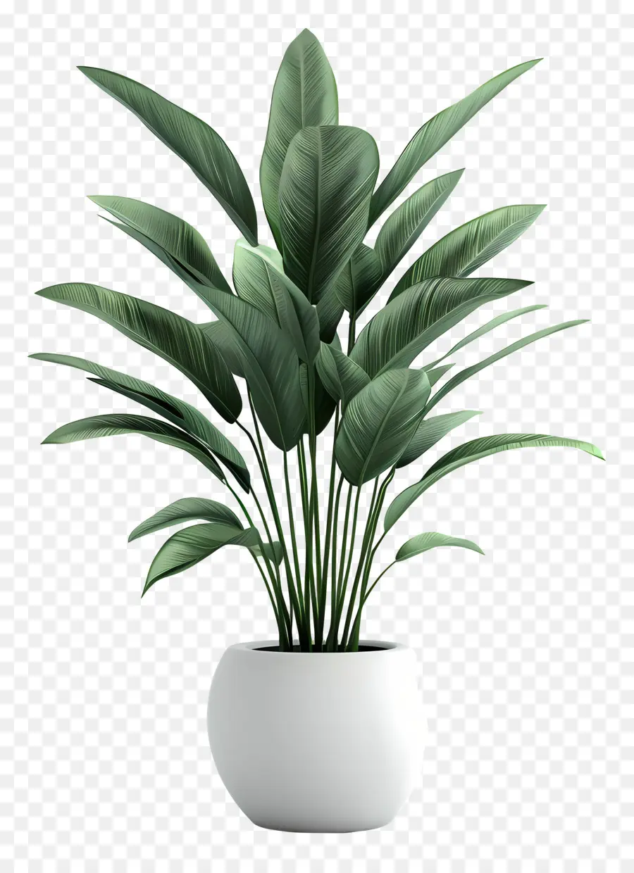 Planta Em Vaso，Planta Em Vaso Verde PNG