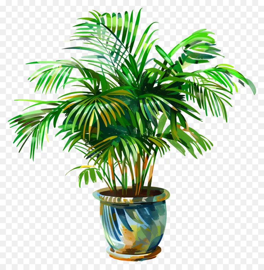 Palmeira De Salão，Planta Em Vaso Verde PNG