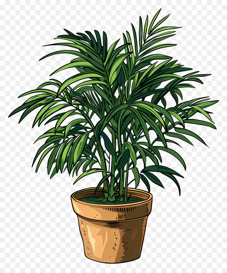 Palmeira De Salão，Planta Em Vaso PNG