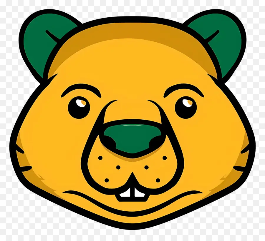 Cara De Castor，Cara De Urso PNG