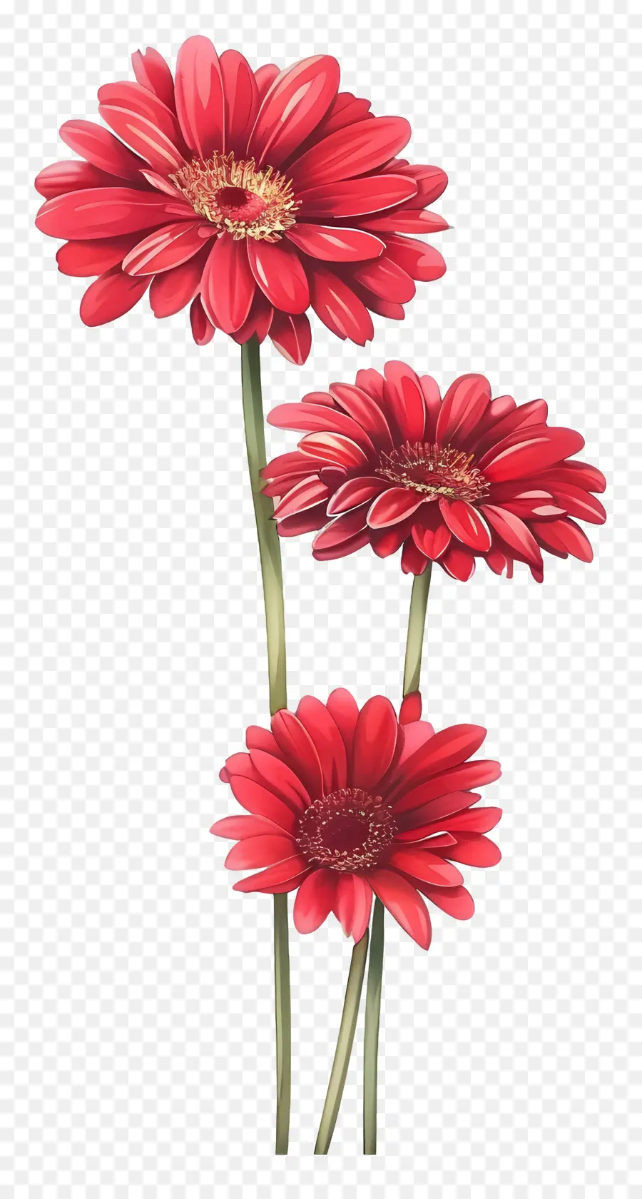 Flores Gérberas，Flor Vermelha PNG