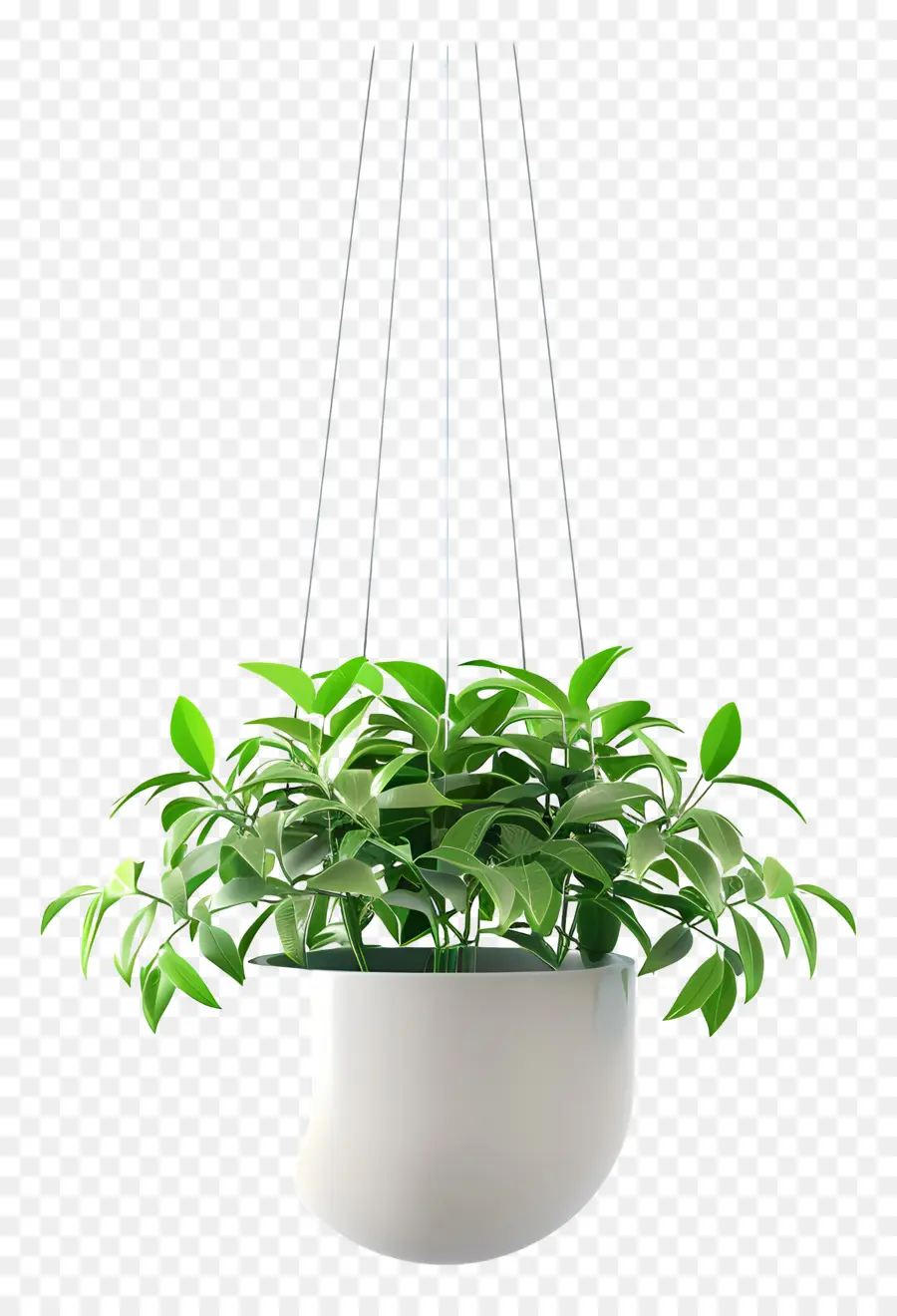 Vaso De Planta Suspenso，Planta Suspensa PNG