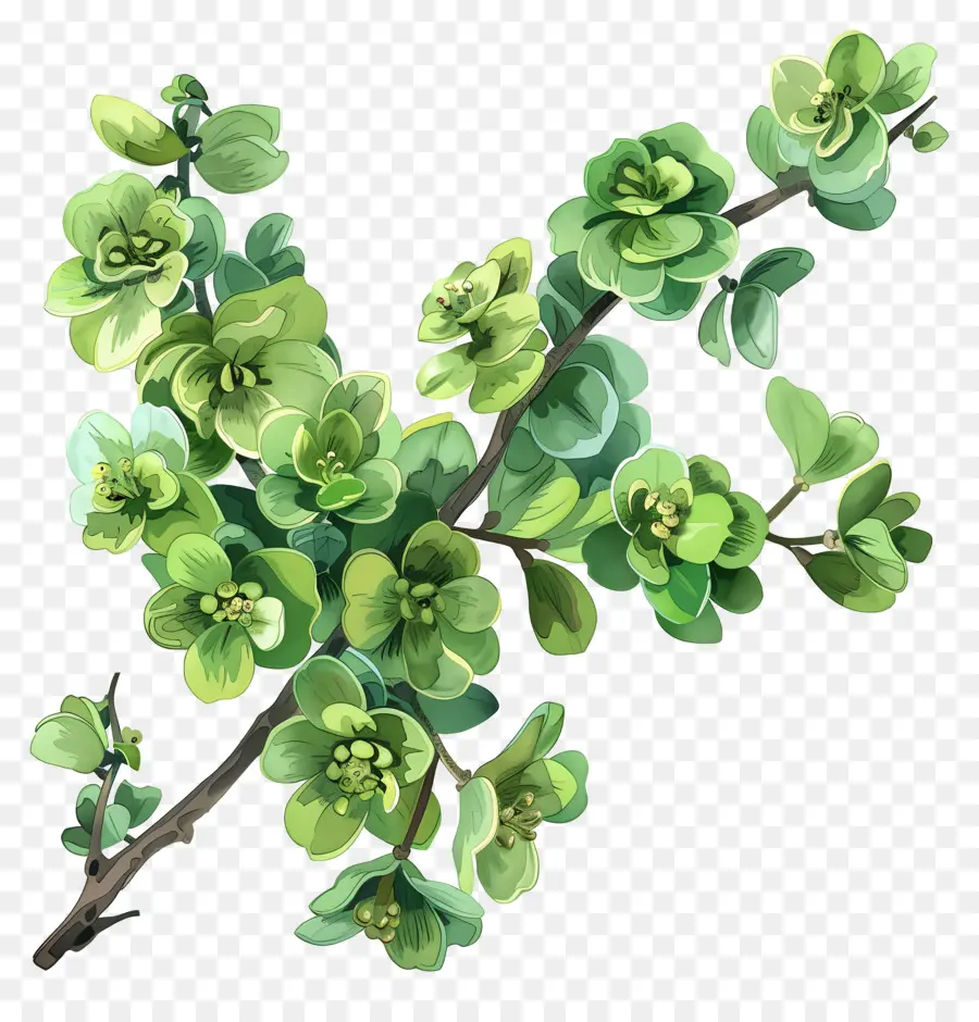 Flor Verde，Planta Verde PNG