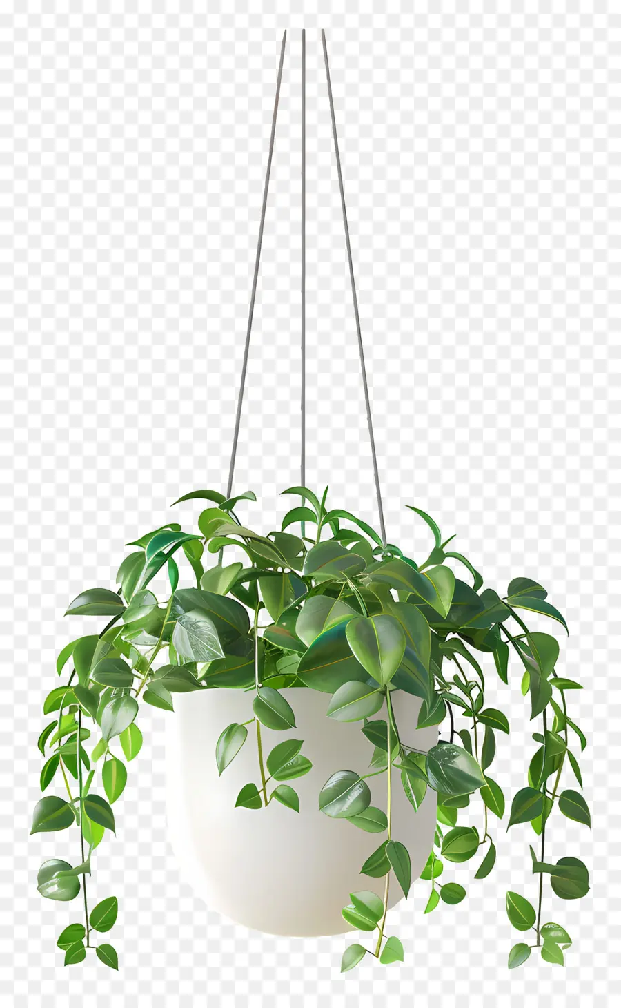 Vaso De Planta Suspenso，Planta Suspensa PNG