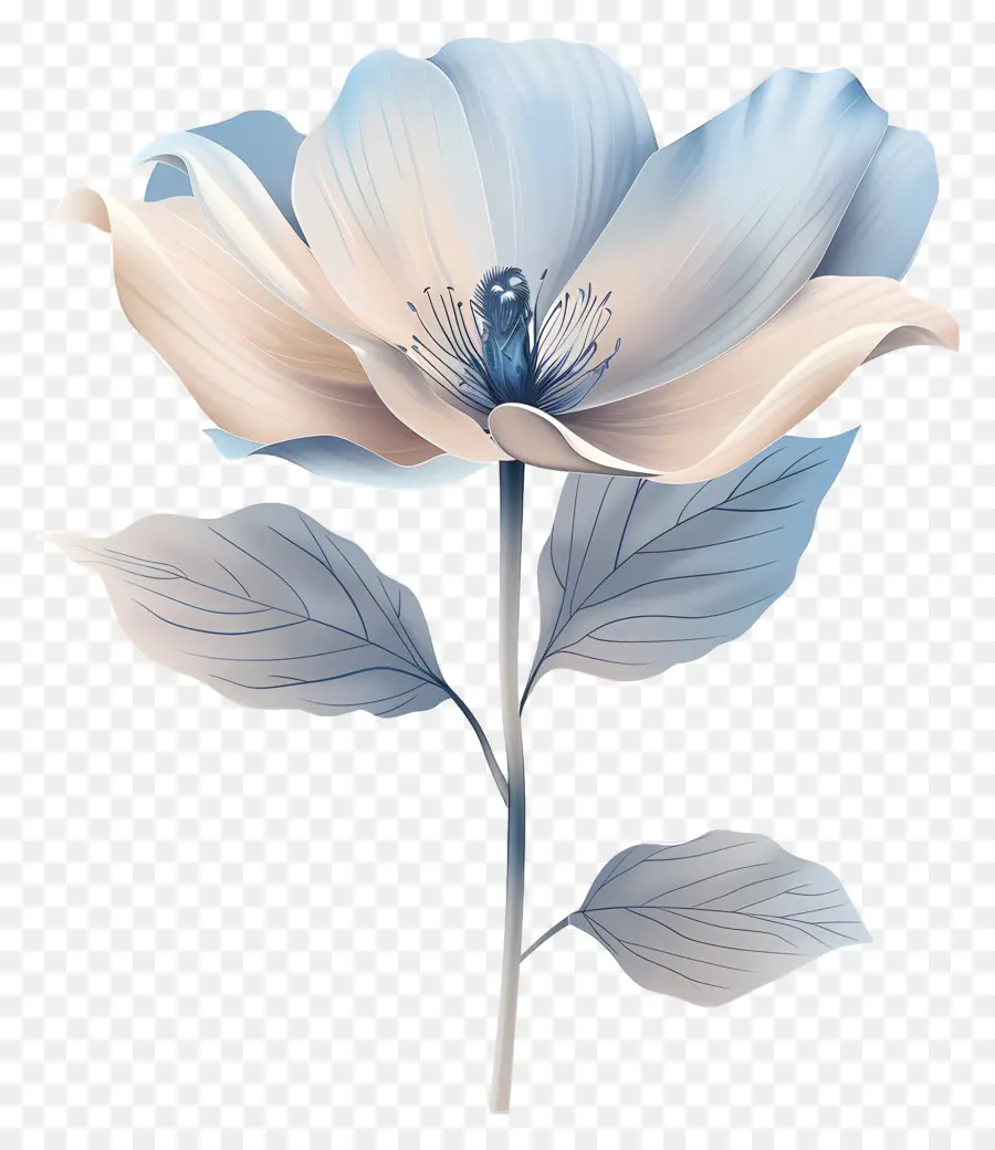 Flor Pastel，Flor Transparente PNG