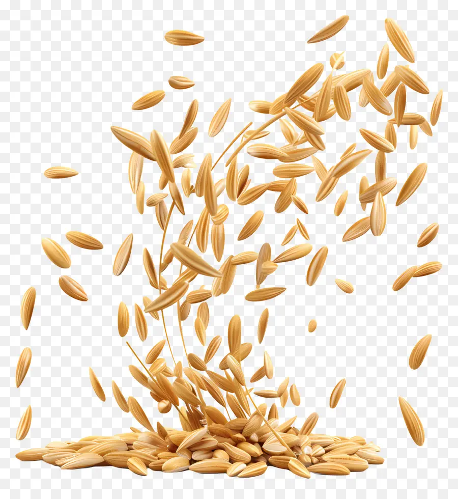 Grãos De Arroz，Sementes PNG