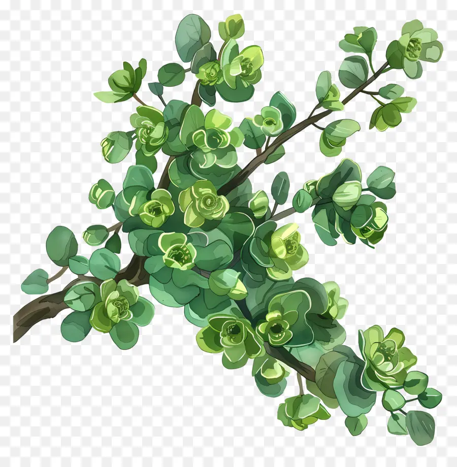 Flores Verdes，Planta Verde PNG