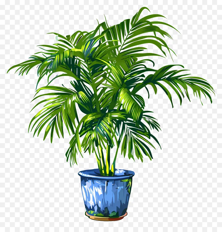 Palmeira De Salão，Planta Em Vaso Verde PNG