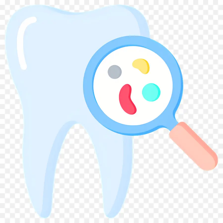 Verificação Dentária，Dente Fofo Com Lupa PNG