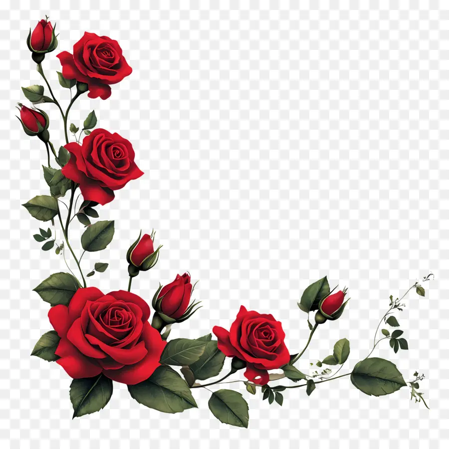 Rosa，Rosas Vermelhas PNG