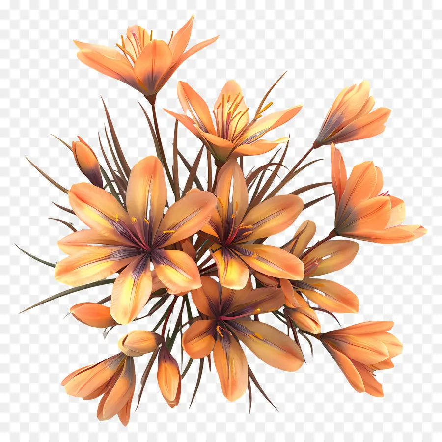 Flores De Açafrão，Flores PNG