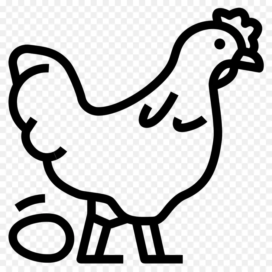 Frango，Galinha PNG