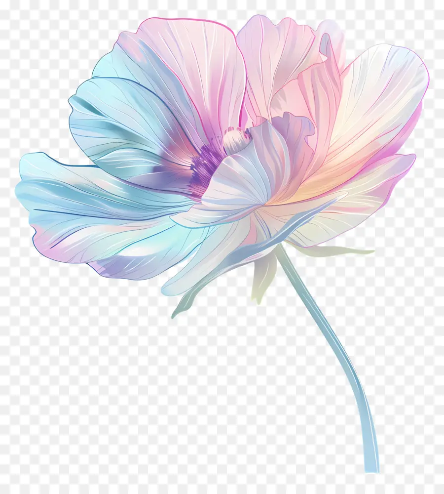 Flor Pastel，Flor Colorida PNG