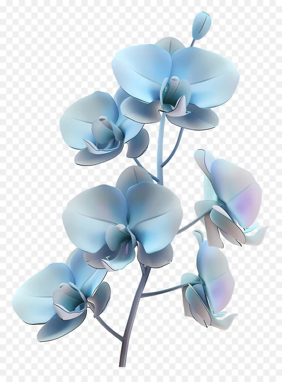 Orquídea Azul，Pétalas PNG