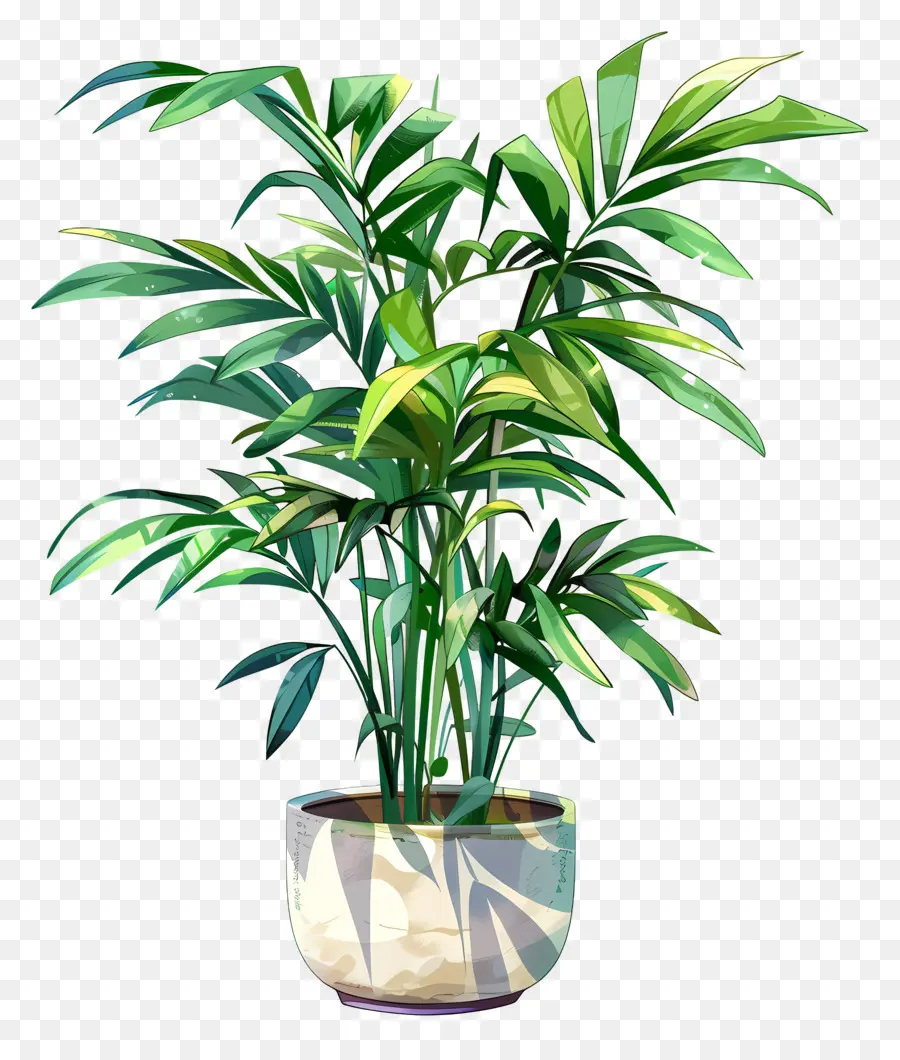 Palmeira De Salão，Planta Em Vaso Verde PNG