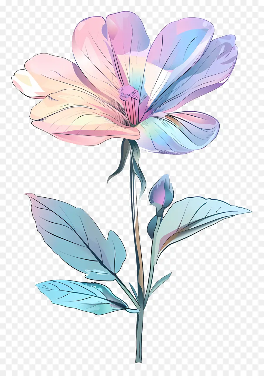 Flor Pastel，Flor Aquarela PNG