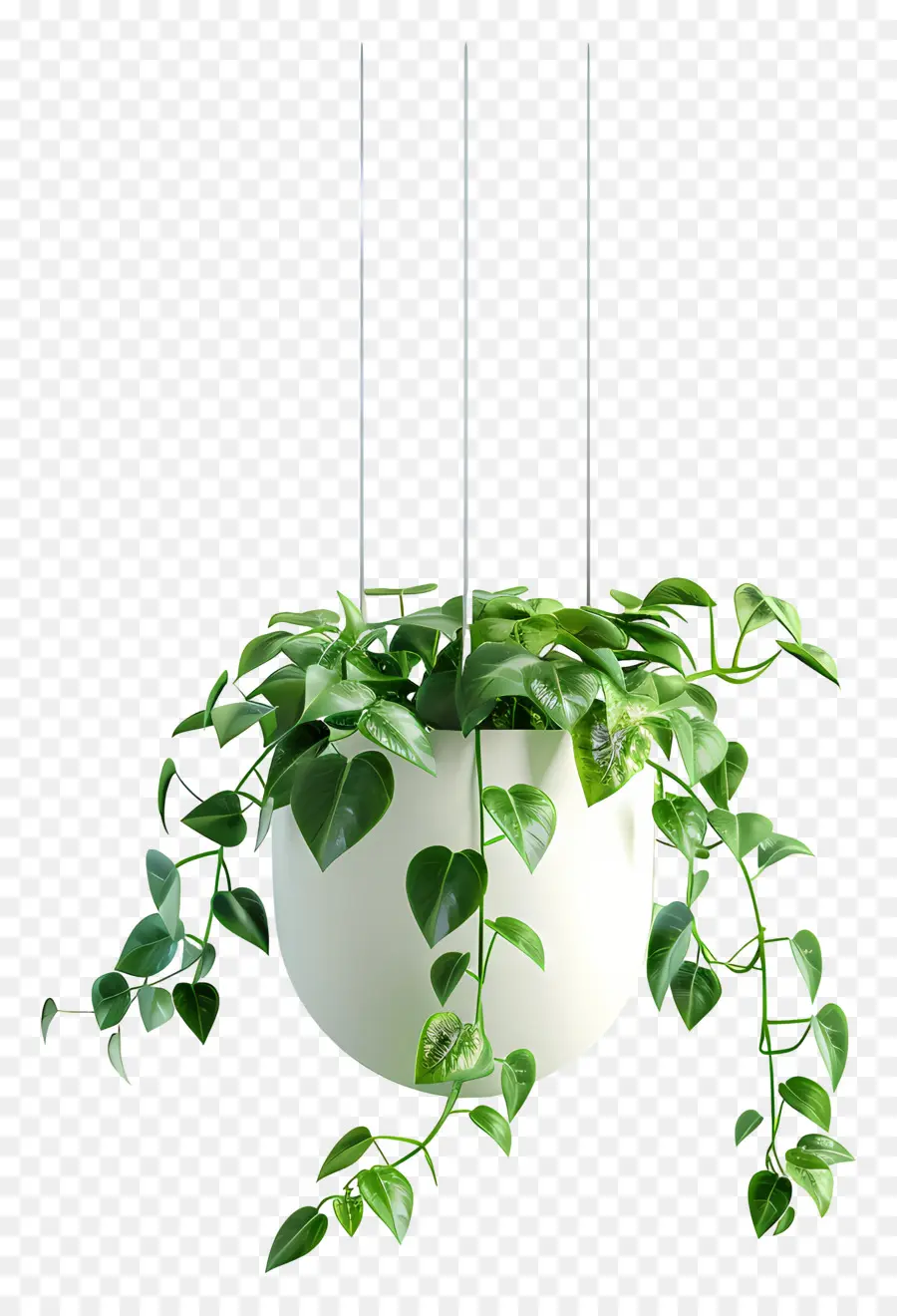 Vaso De Planta Suspenso，Planta Suspensa PNG