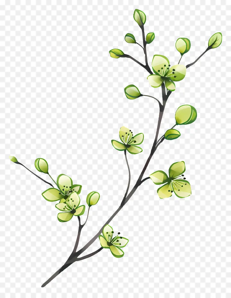 Flores Verdes，Flores PNG