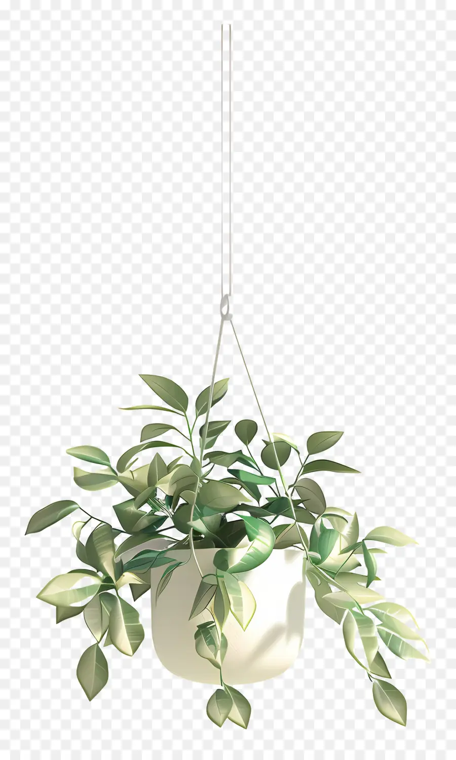 Vaso De Planta Suspenso，Planta Suspensa PNG