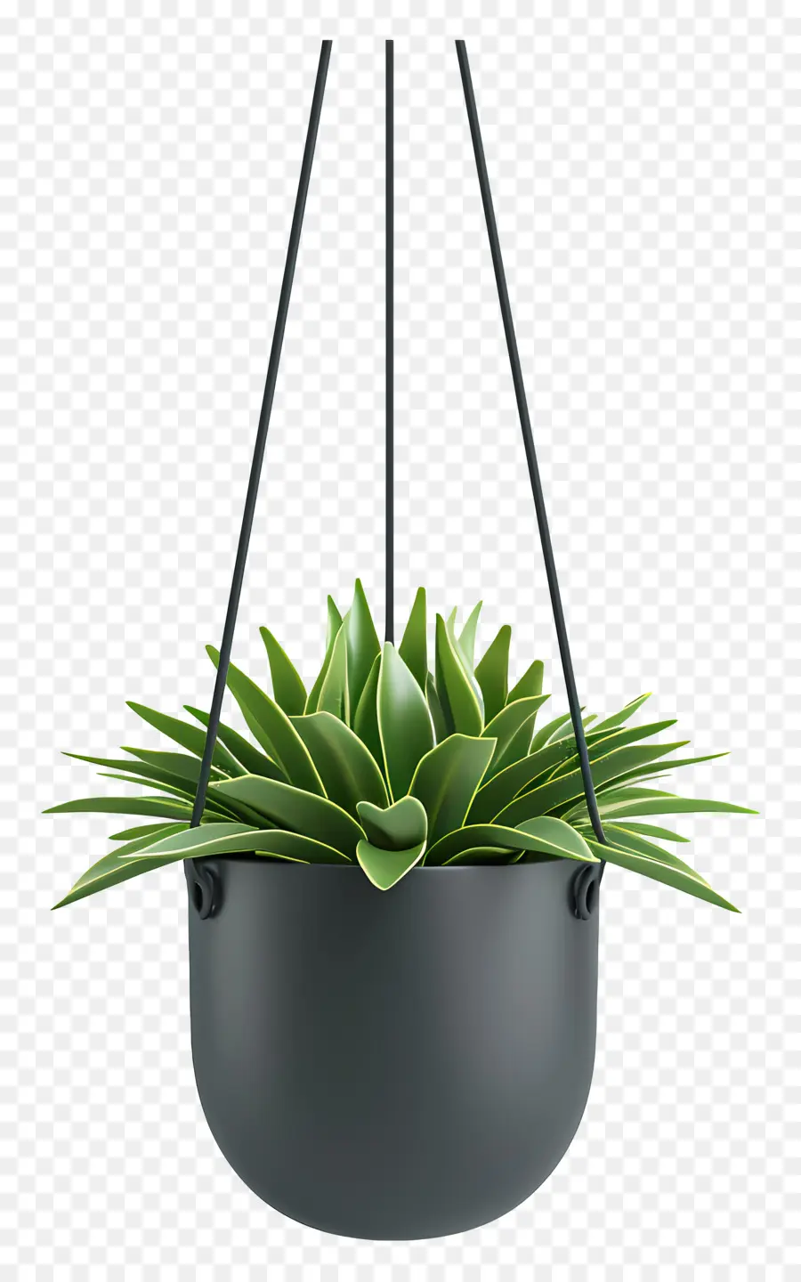 Vaso De Planta Suspenso，Planta Suspensa PNG