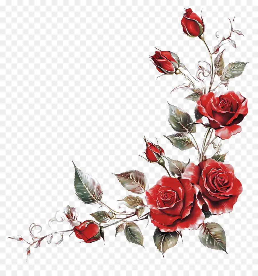 Rosa，Rosas Vermelhas PNG