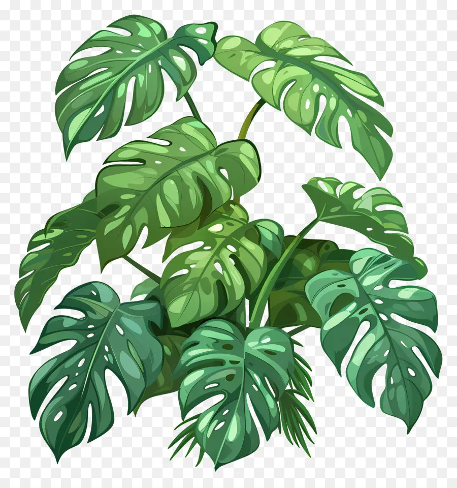 Planta Monstro，Plantas Verdes PNG