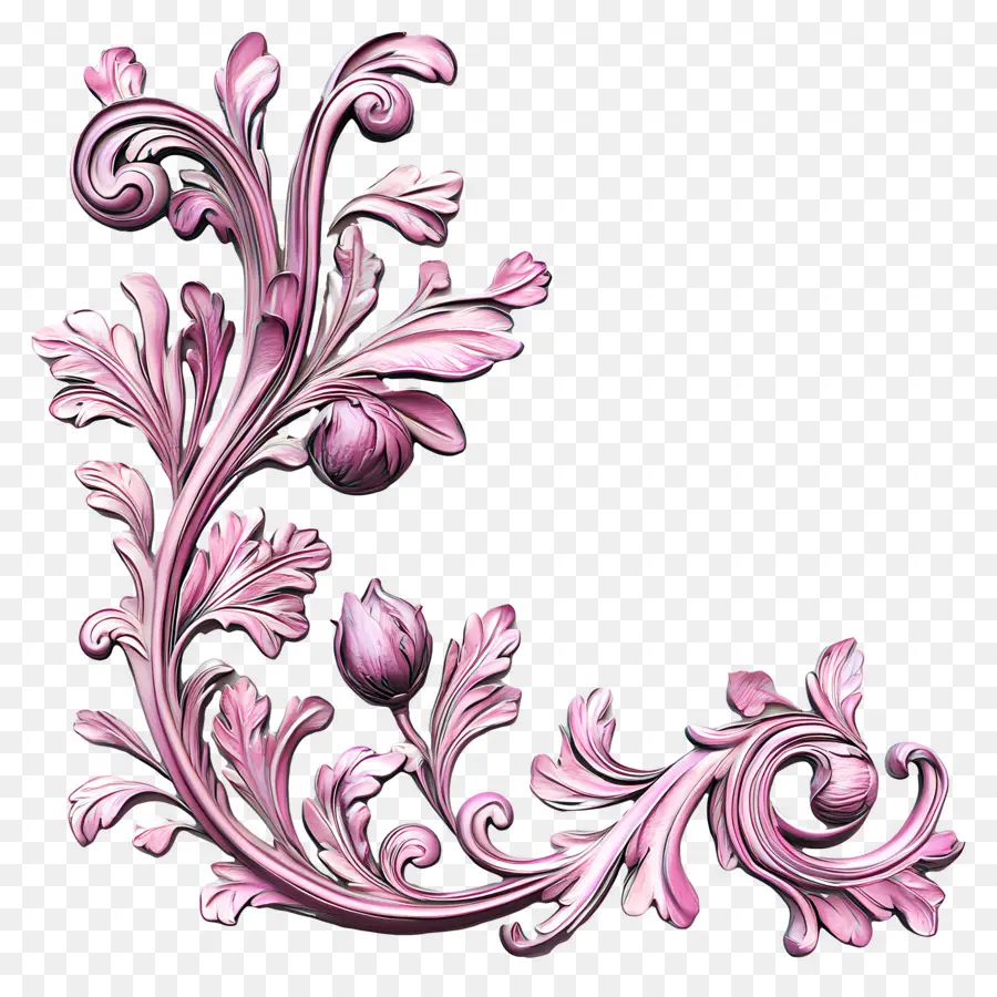 Canto，Ornamento Floral PNG