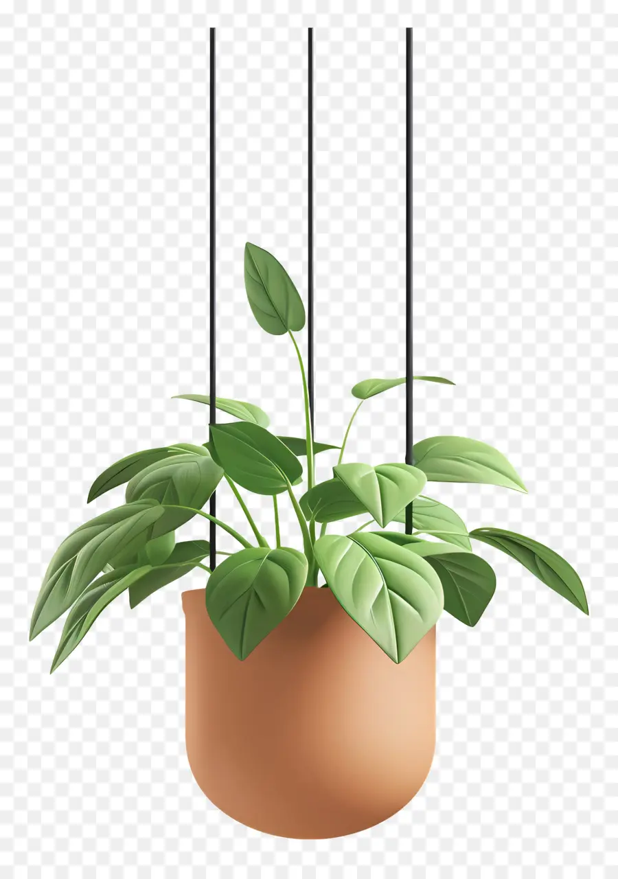 Vaso De Planta Suspenso，Planta Suspensa PNG