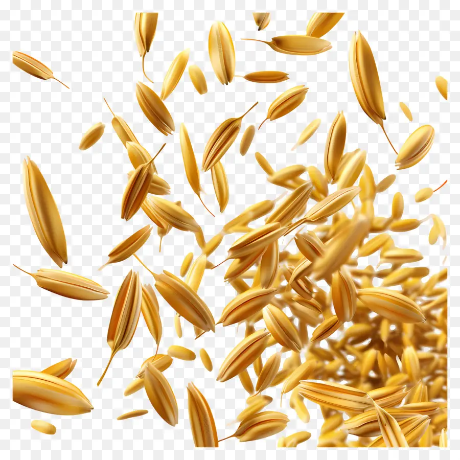 Grãos De Arroz，Dourado PNG