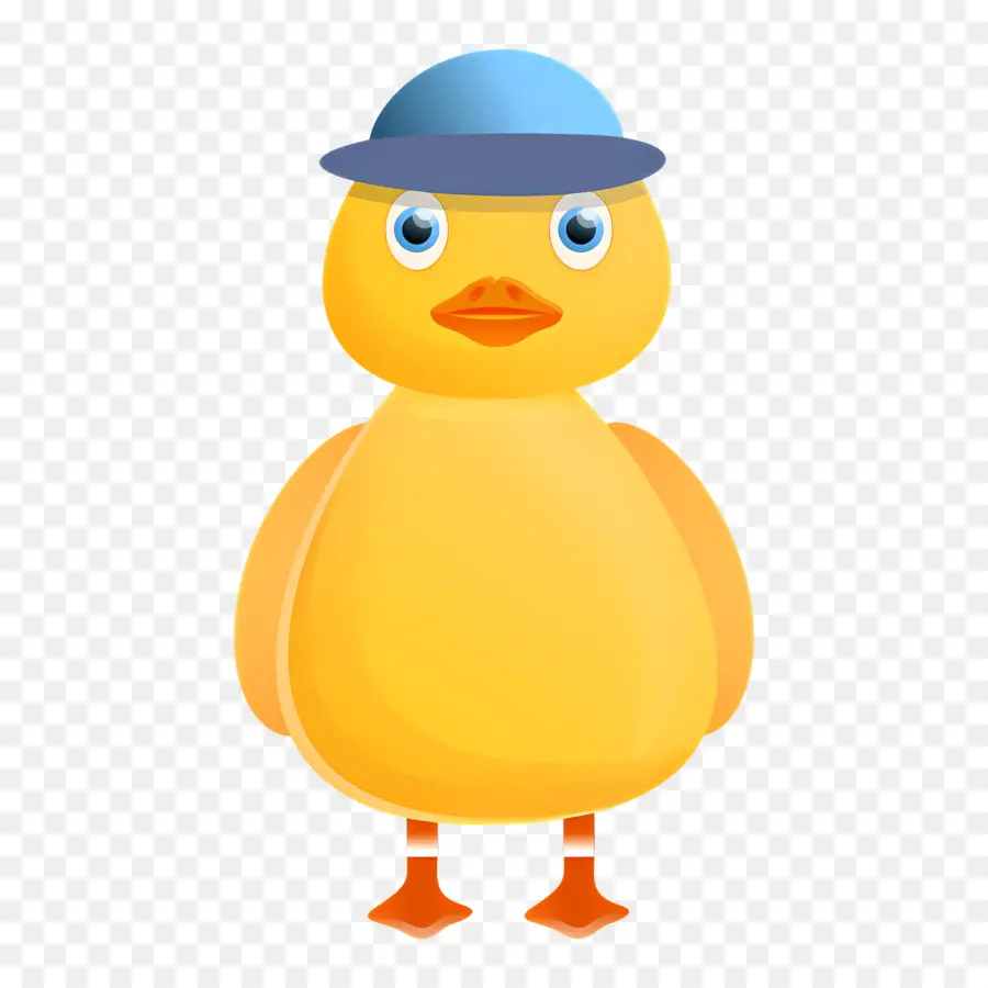 Pato，Pássaro PNG