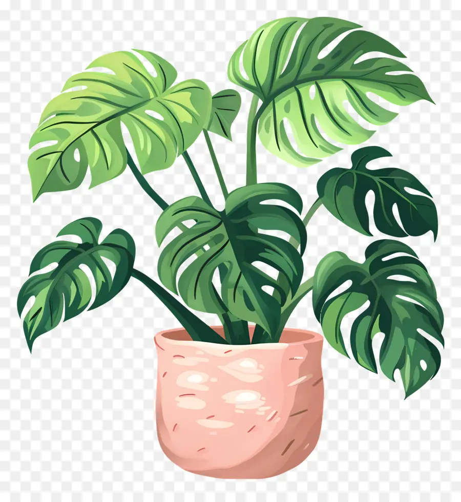 Planta Monstro，Planta Em Vaso PNG