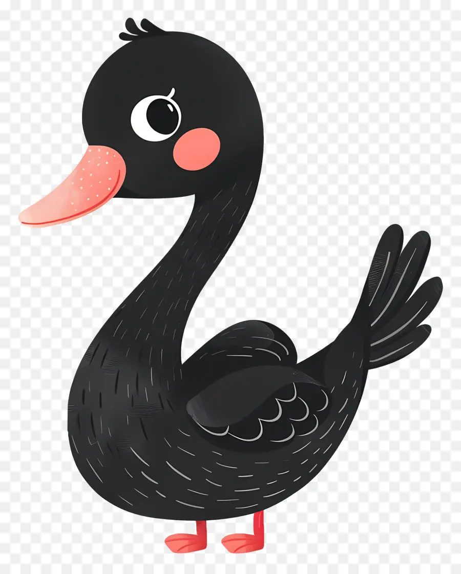 Cisne Negro，Bonitinho PNG