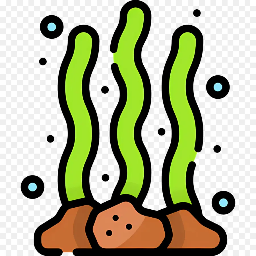 Alga，Algas PNG