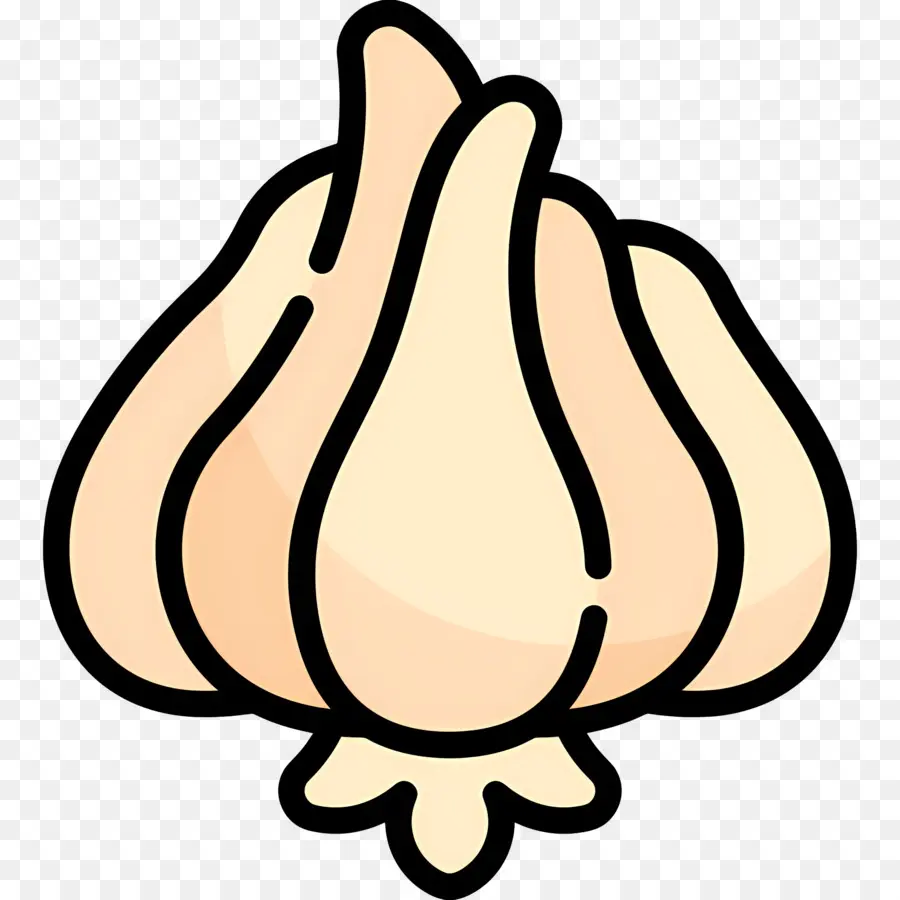 Alho，Bulbo PNG