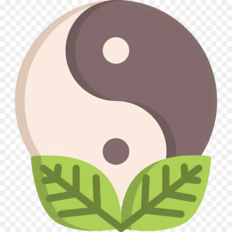 Yin Yang，Equilíbrio PNG