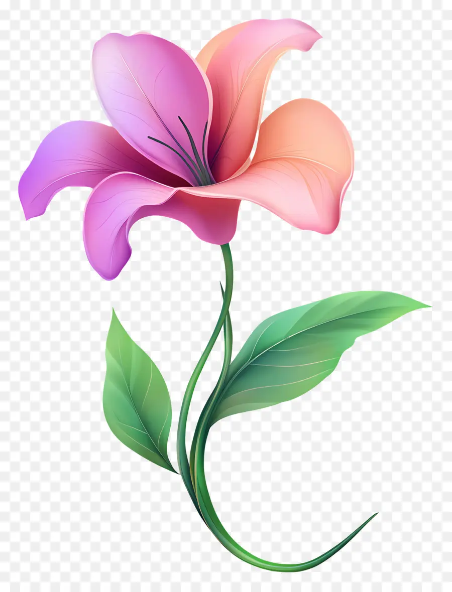 Bom Dia，Flor Rosa PNG