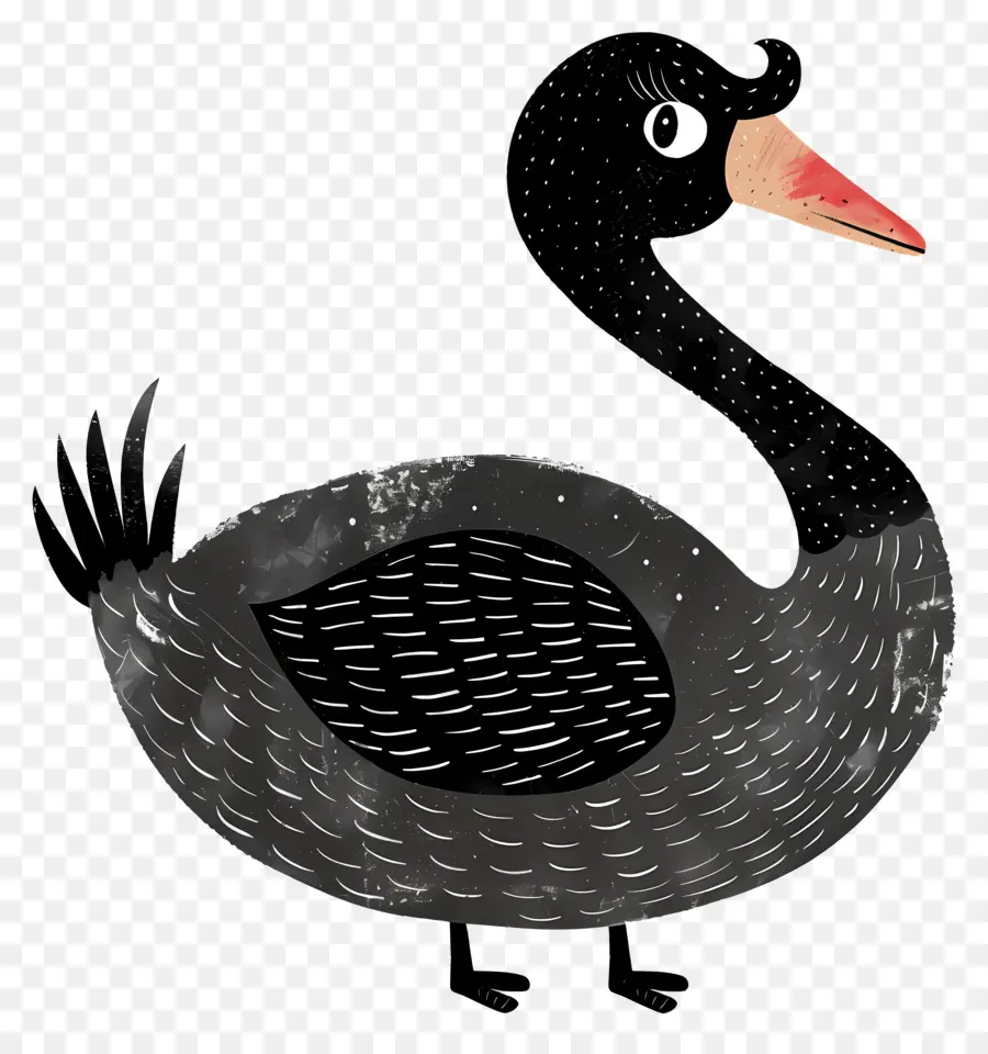 Cisne Negro，Pássaro PNG