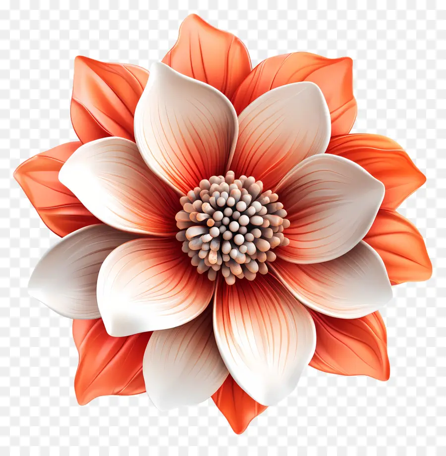 Bom Dia，Flor PNG