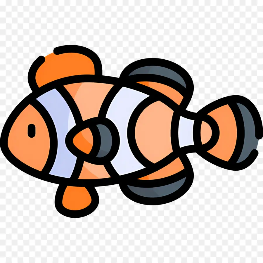 Peixe Palhaço，Peixe PNG