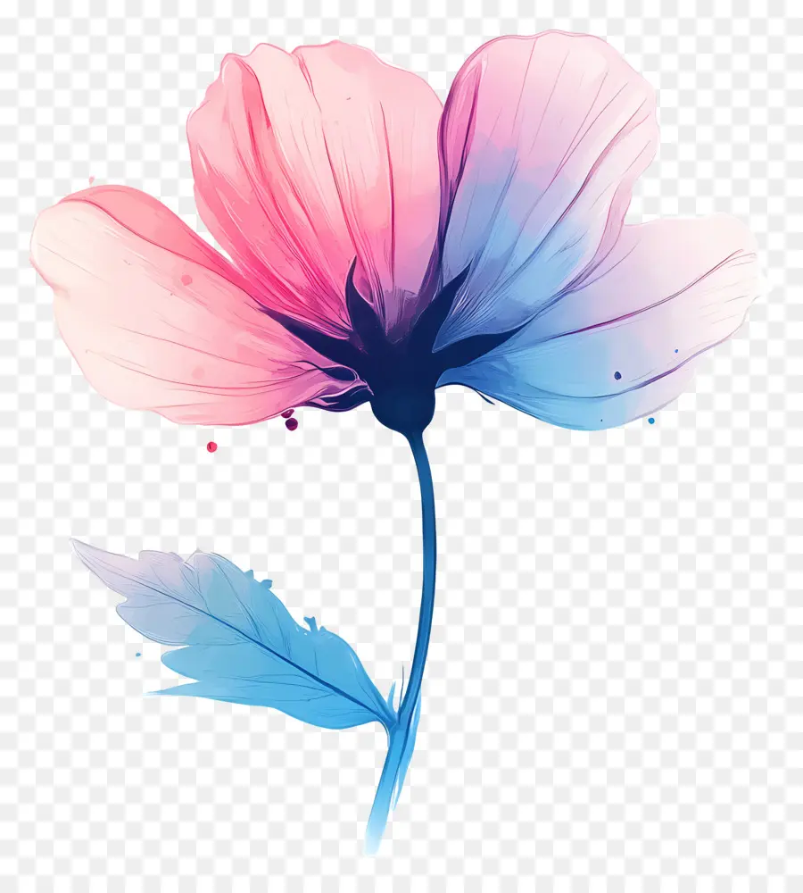 Bom Dia，Flor Colorida PNG