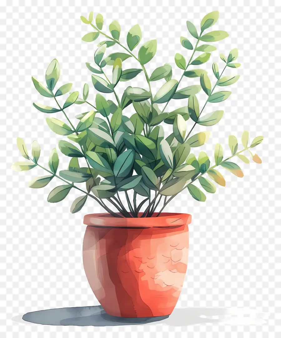 Vaso De Plantas，Planta Em Vaso PNG