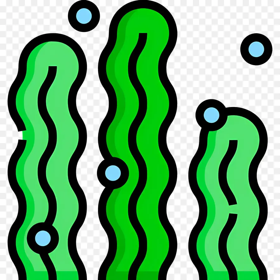 Alga，Algas PNG