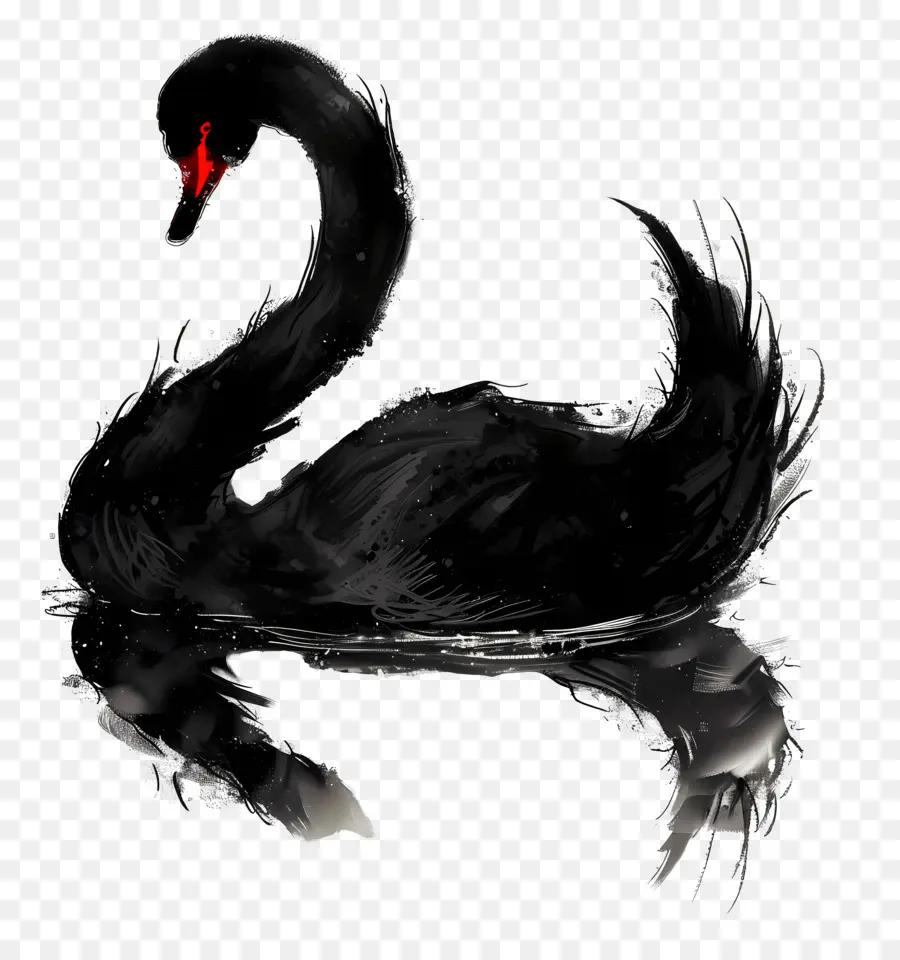 Cisne Negro，Água PNG