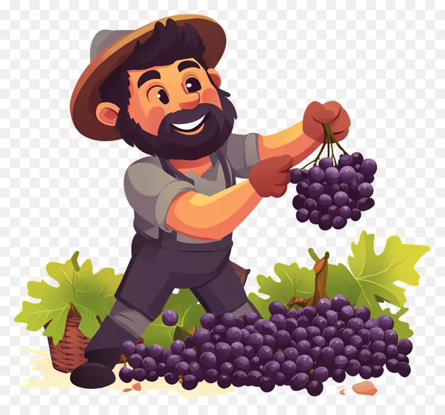 Colheita De Uvas，Fazendeiro Com Uvas PNG