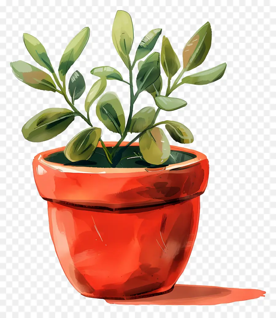 Vaso De Planta，Plantar PNG