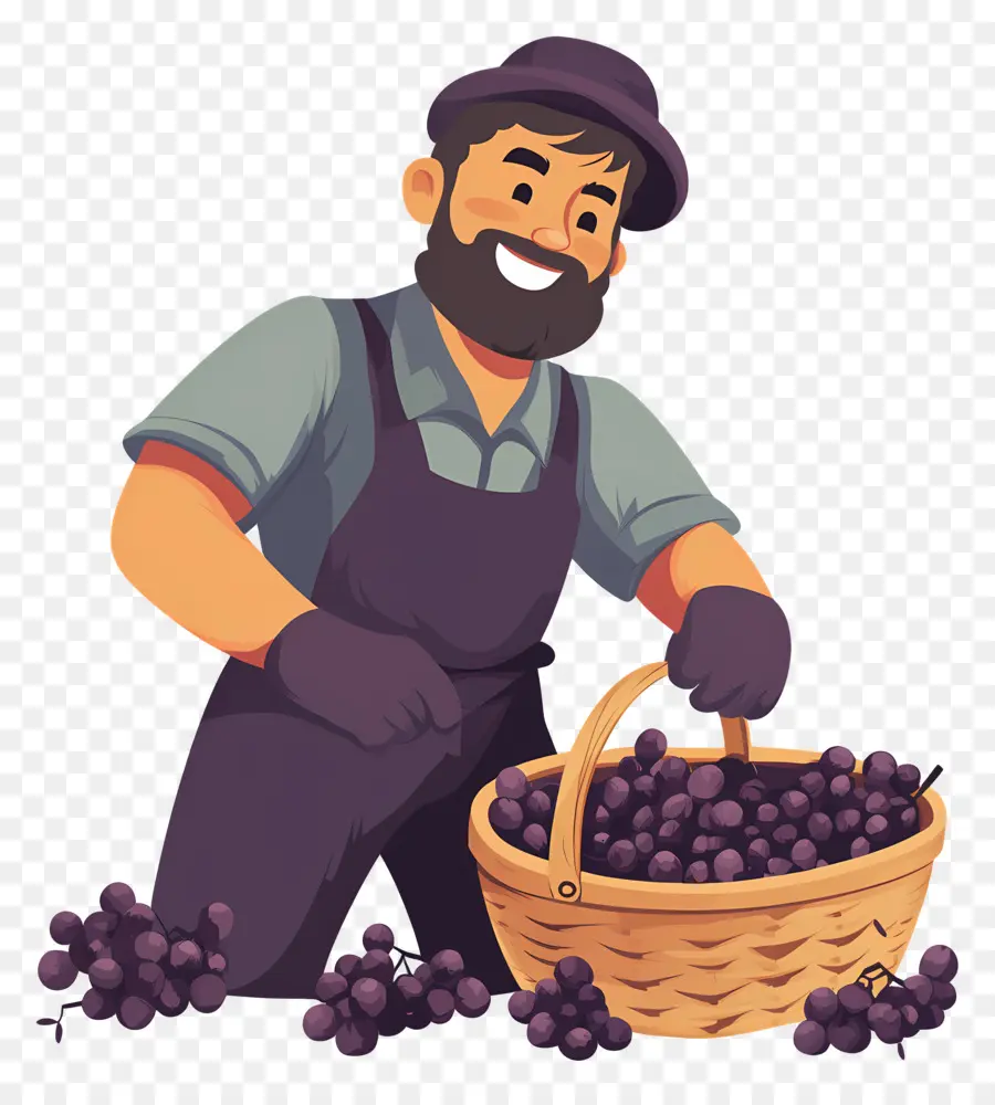 Colheita De Uvas，Fazendeiro Com Uvas PNG