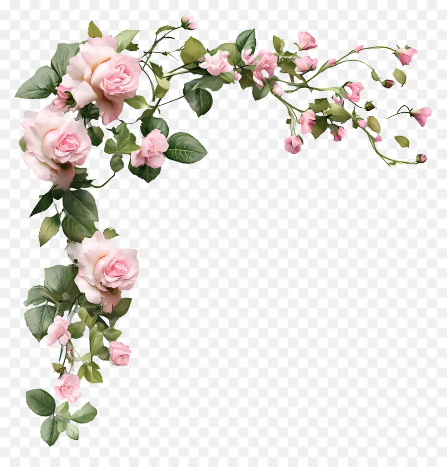 Canto Do Casamento，Rosas Cor De Rosa PNG