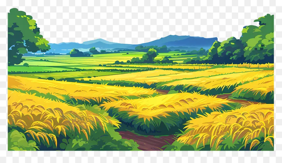 Campo De Arroz，Campo De Trigo Dourado PNG